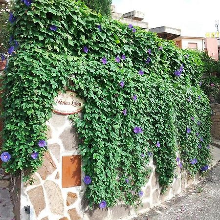 B&B Nonna Luisa Tarquinia Dış mekan fotoğraf