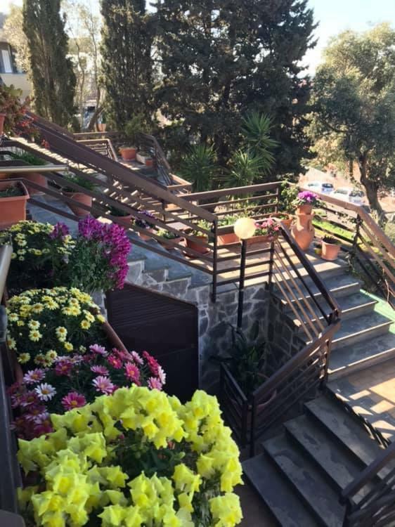 B&B Nonna Luisa Tarquinia Dış mekan fotoğraf